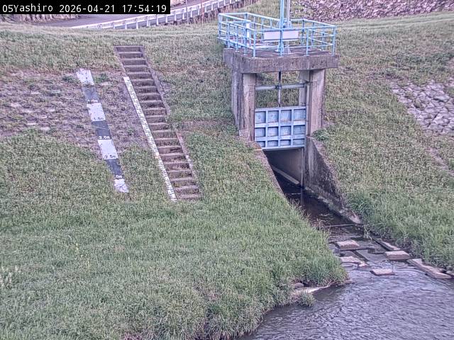 最新監視カメラ画像