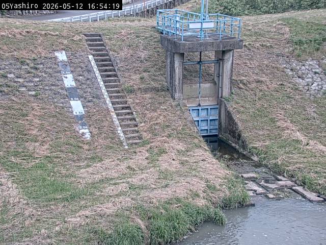 最新監視カメラ画像