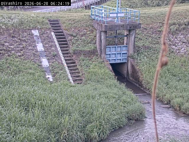 最新監視カメラ画像