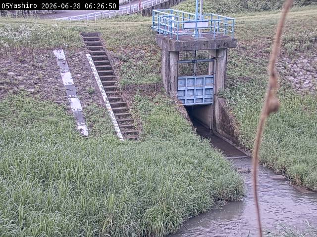 最新監視カメラ画像
